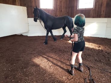 Horses that love us!
Champion Horse Cookies - A Better Treat for Your Champion