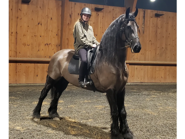 Horses we love!
Champion Horse Cookies - A Better Treat for Your Champion