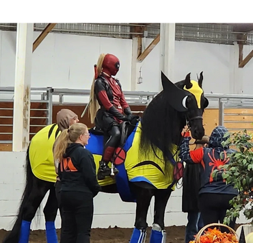 Champion Horse Cookies own Titan dressed up as Wolverine for Halloween