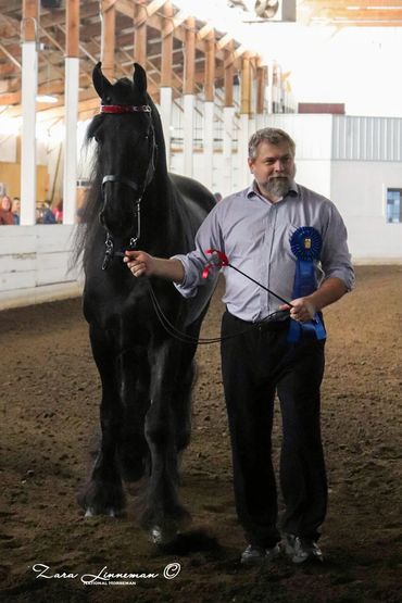 This man's champion loves
Champion Horse Cookies - A Better Treat for Your Horse