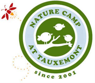 Nature Camp Logo