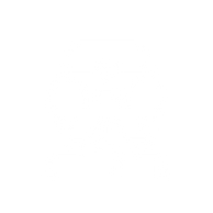 Wedding transport icon