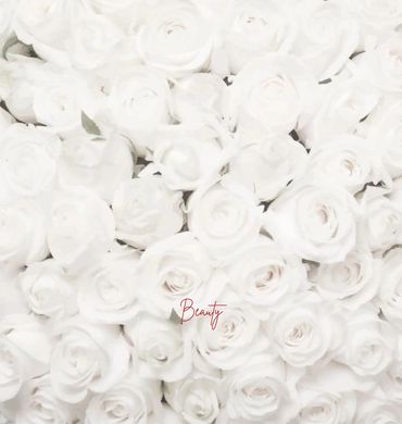 White Rosette Backdrop