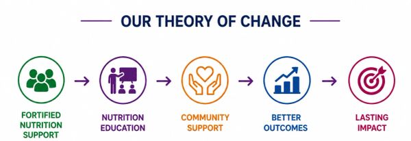 Diagram showing a theory of change with five key stages.