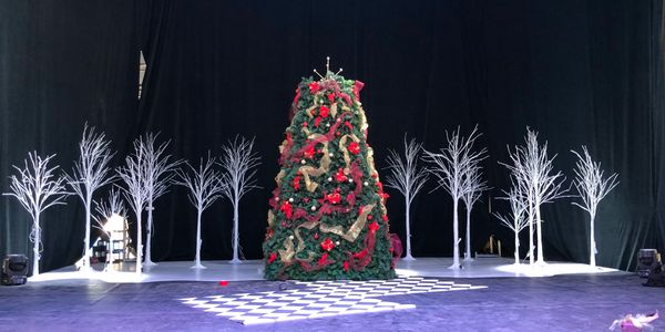 Decorated Christmas Tree with White Trees on a Stage