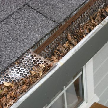 Gutter Cleaning