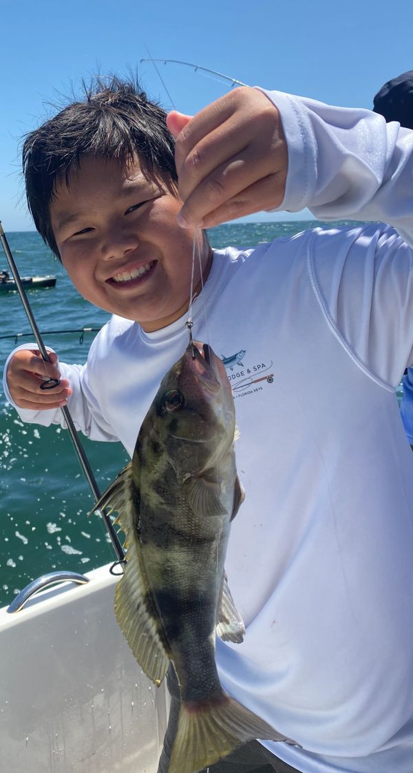 Seabass with his sandbass