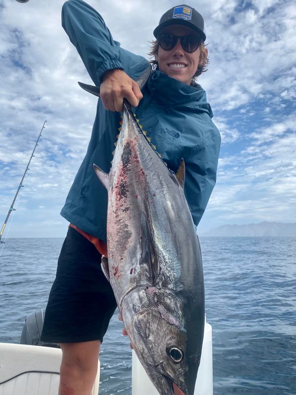 Local Bluefin Tuna caught near Catalina Island