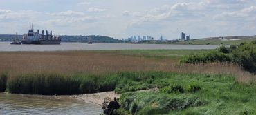 The Thames Estuary from Rainham Marshes
