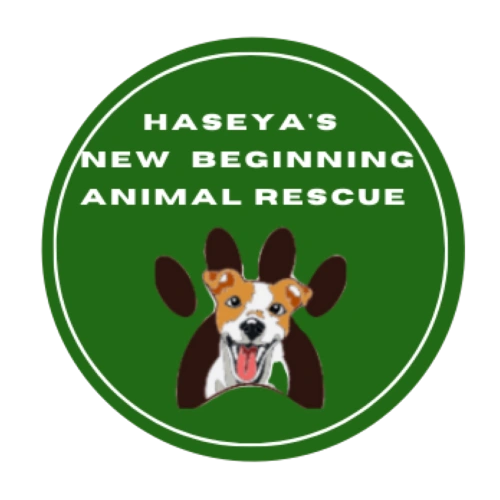 Volunteer Haseyas New Beginning Animal Rescue