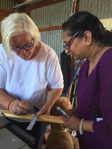 American University of Mayonic Science and Technology