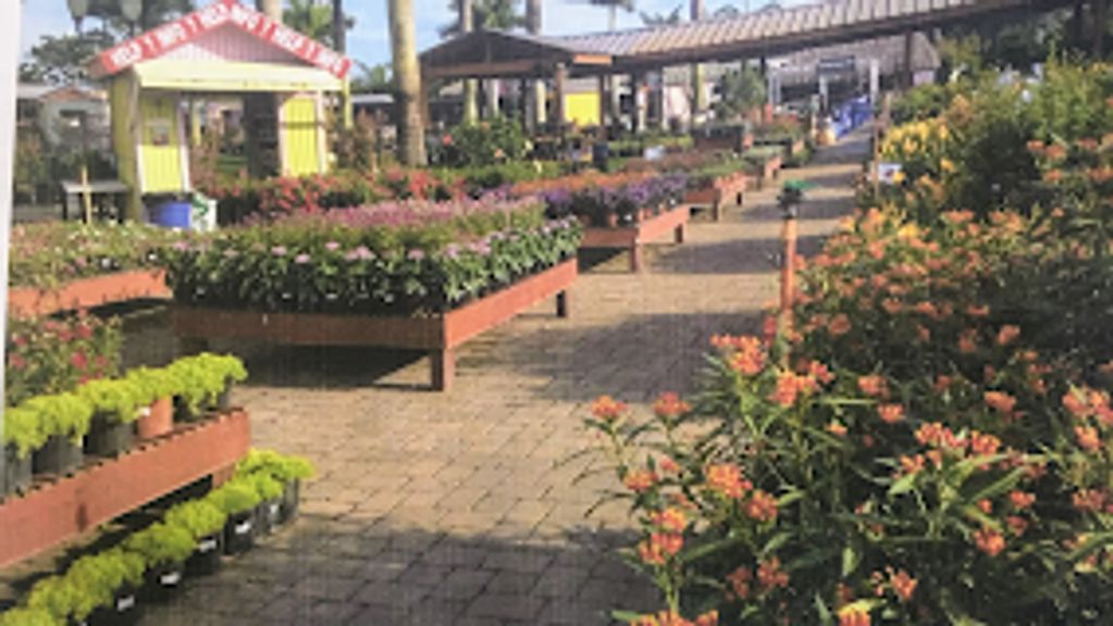 This is a representation of our gardens, that are soon to come from support of donations.