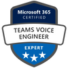 team voice engineer logo
