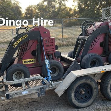 Dingo Hire