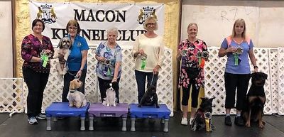 Macon Kennel Club Trials September 2019