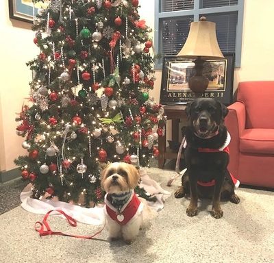 Beau and Flame 2017 D.E.A.R. dogs club at Alexander II Elementary School, Macon GA