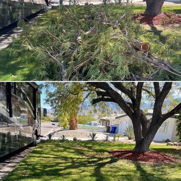 before and after yard waste disposal in La Quinta Ca