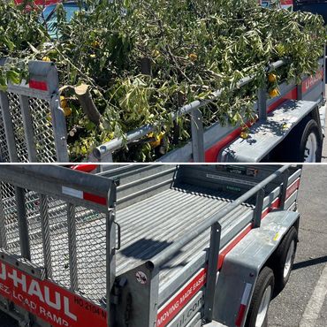 Green waste disposal before and after in Palm Desert Ca