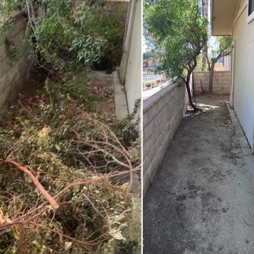 before and after picture of yard waste clean up in Palm Springs Ca