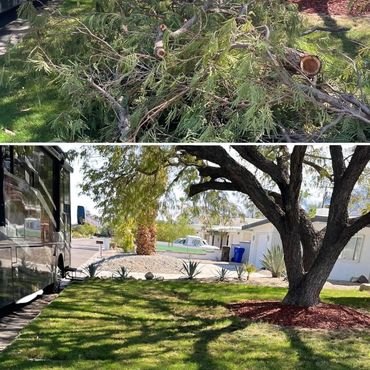 Residential home in Cathedral City before and after green waste removal services.