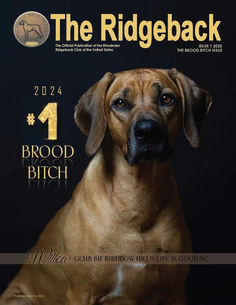 Rhodesian Ridgeback dog featured on The Ridgeback magazine cover as 2024's top brood bitch.