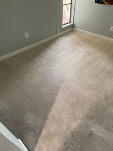 Cleaned beige carpet in an empty room with light gray walls and a small window.