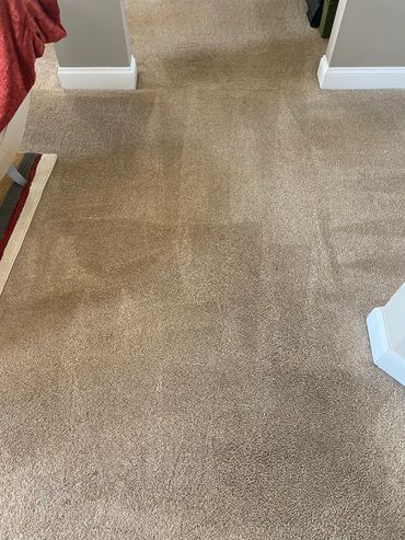 Clean beige carpet with visible vacuum lines in a hallway.