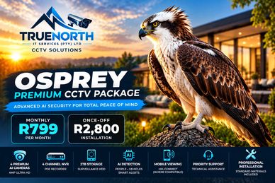 AI CCTV installation Pretoria, premium CCTV systems South Africa, 4MP AI security cameras, advanced