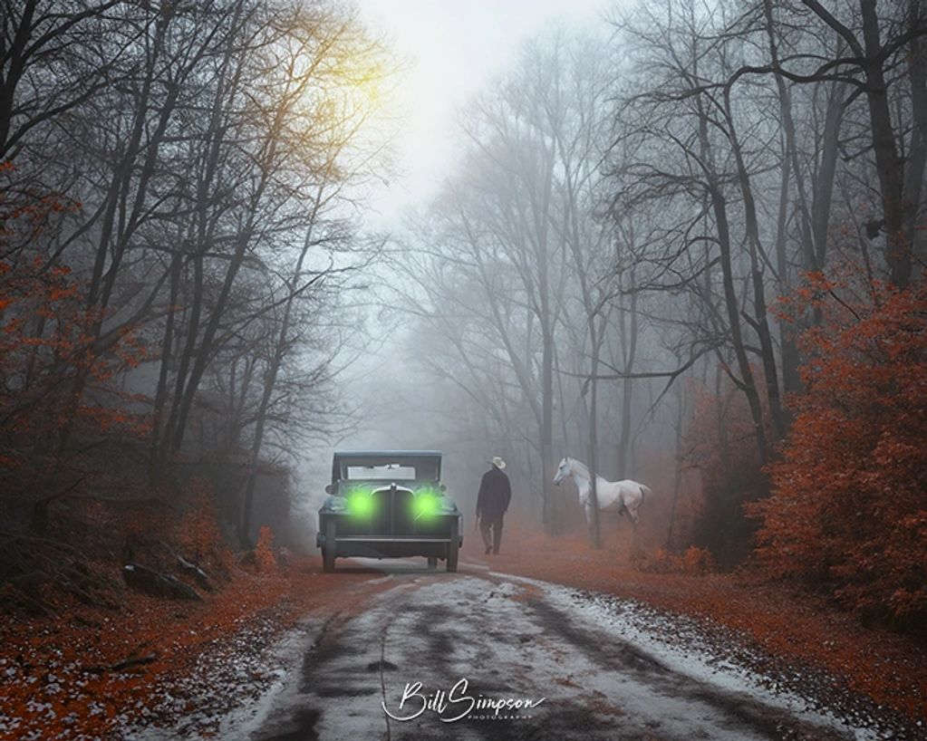 forest, car, horse, snow, woods,