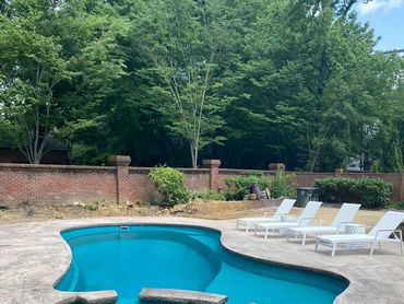 Curved pool with lounge chairs.