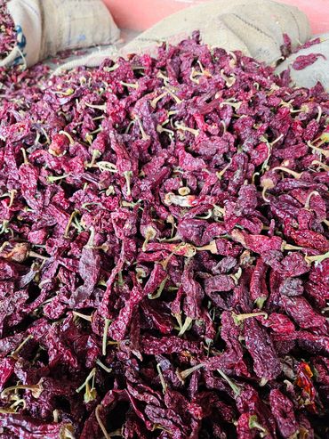 KASHMIRI CHILLI