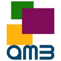 AMB Business Consultants
