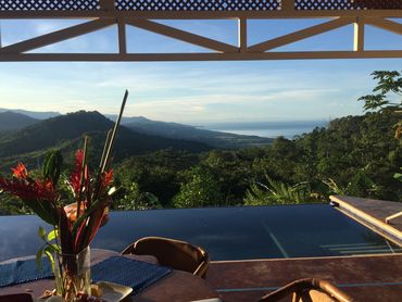 Tropical view from a patio with flowers, pool, and distant ocean under a clear sky.