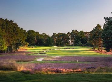 golf, golf course, England golf, Top 100 golf courses, golf travel, St George's Hill