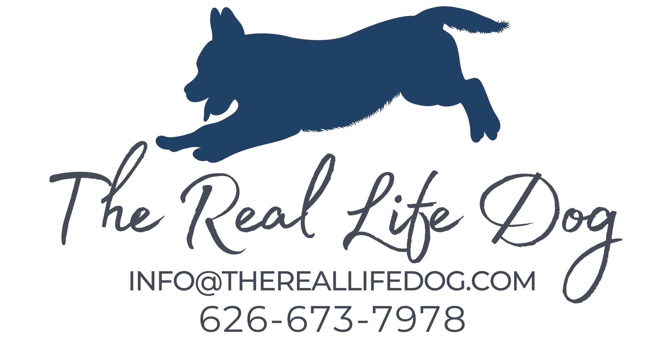 The Real Life Dog logo -Blue playing dog silhouette