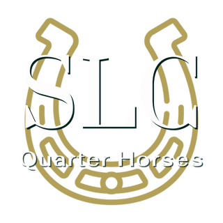 Stacey Colgan-Kleiklamp Quarter Horses