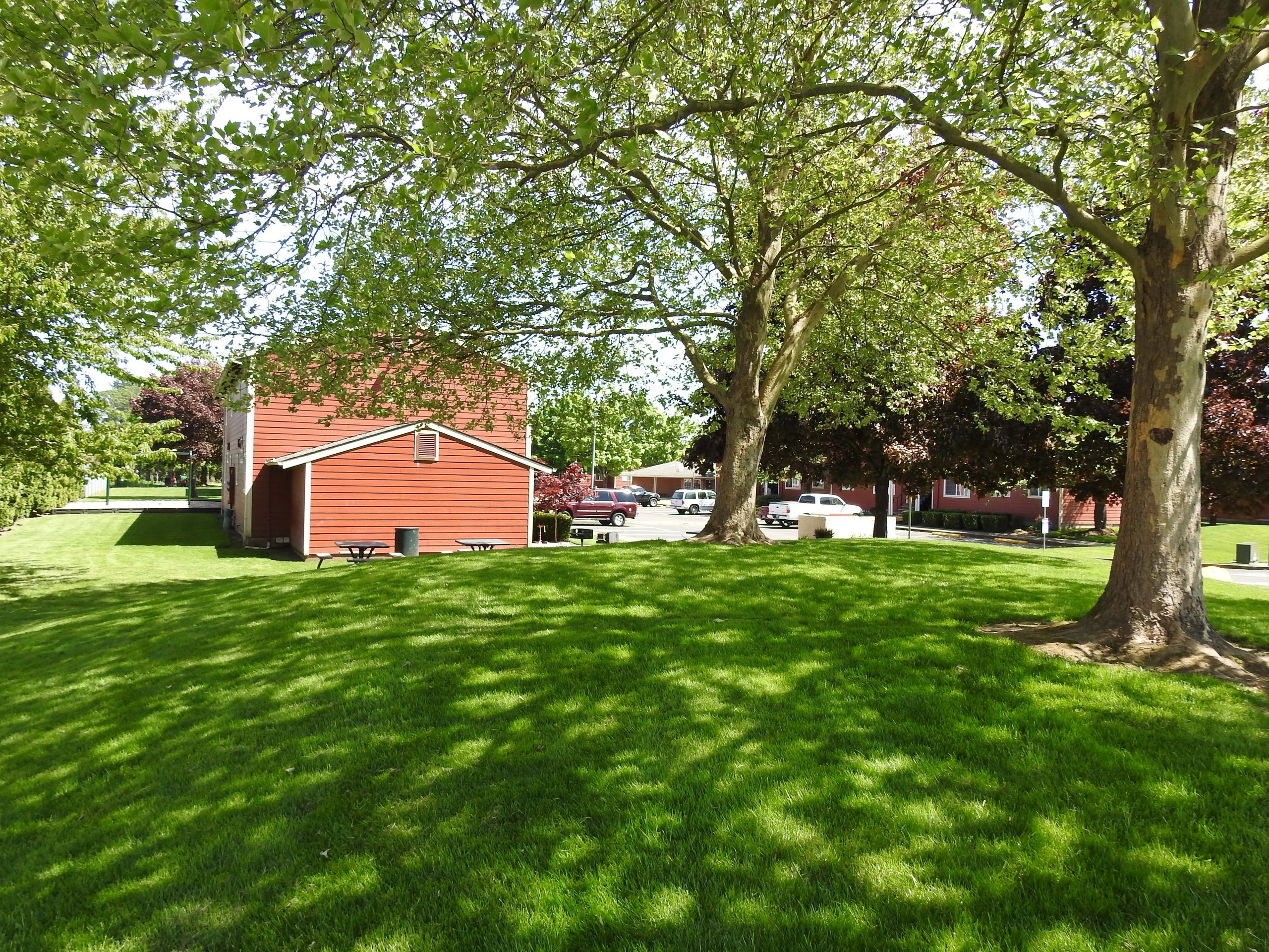 GoGreen Oregon Landscape Maintenance, Inc GoGreen