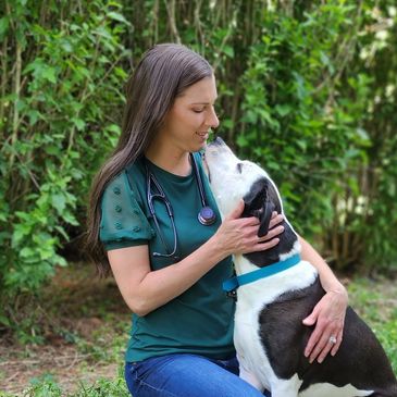 veterinarian with stethoscope and dog