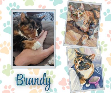 Brandy Walsh