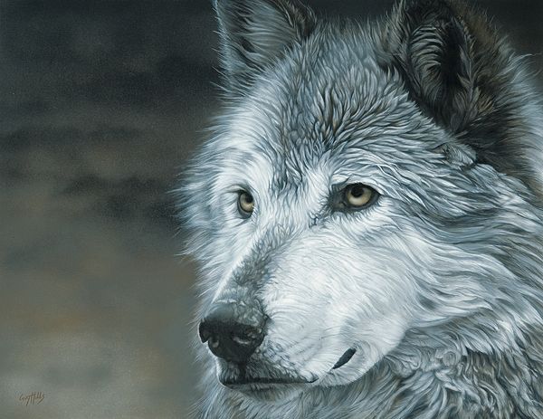 Winters Wolf