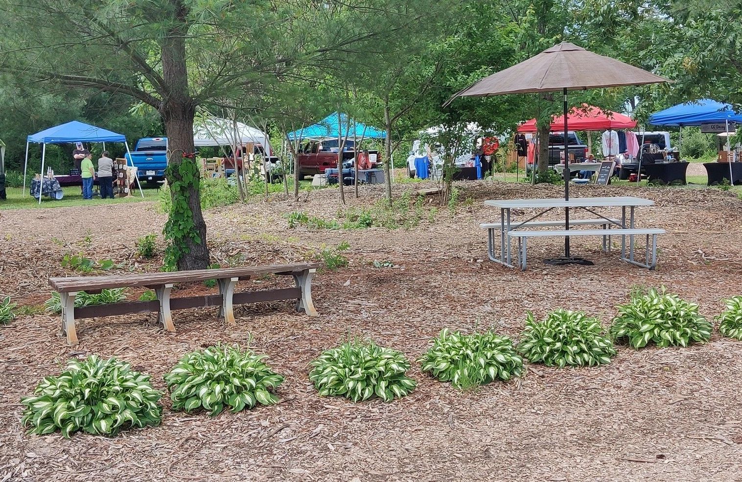 Outdoor market with tents, benches, and plants in a wooded area.