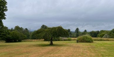 Glorious Fields