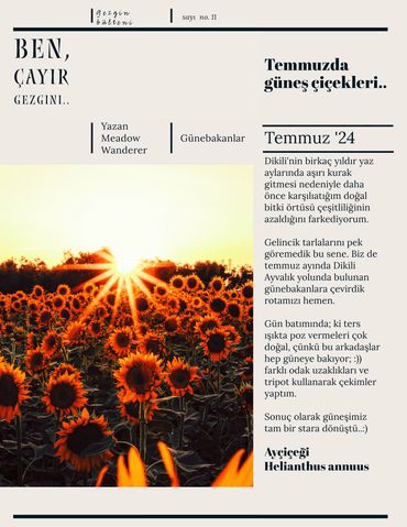 Günebakan uzun pozlama