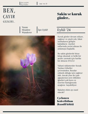 Gezgin bülteni eylül '24