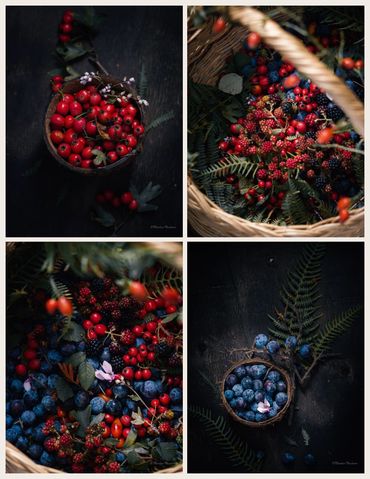 Yabani böğürtlen, kırmızı alıç meyvesi, çakal eriği, kuş burnu