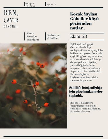 Çayır gezgini bülteni