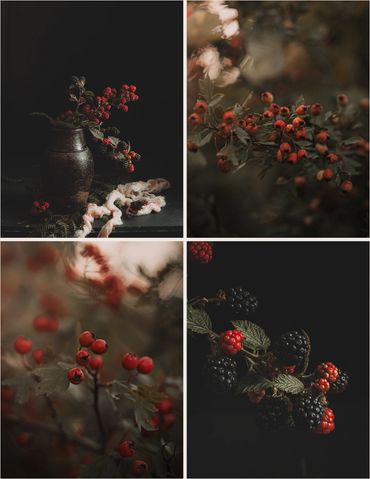 Natürmort Still life fotoğrafçılık