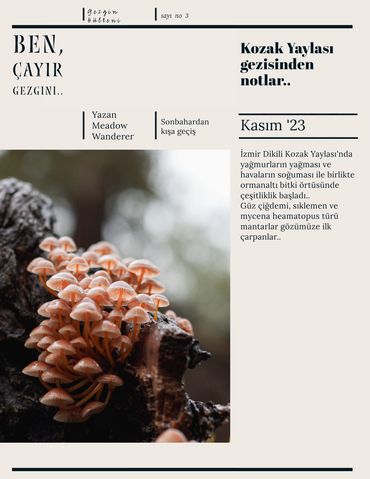 Kozak Yaylası gezisi