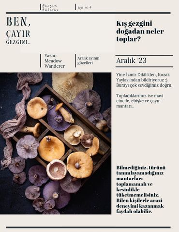 Ebişke mor cincile mantarları