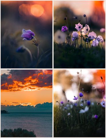 Dikili İzmir Pissa Plajı kış ayları